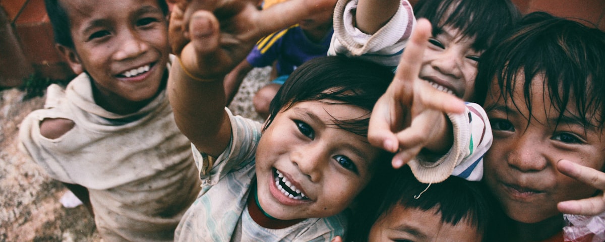 NGO sector — PARAGRAF